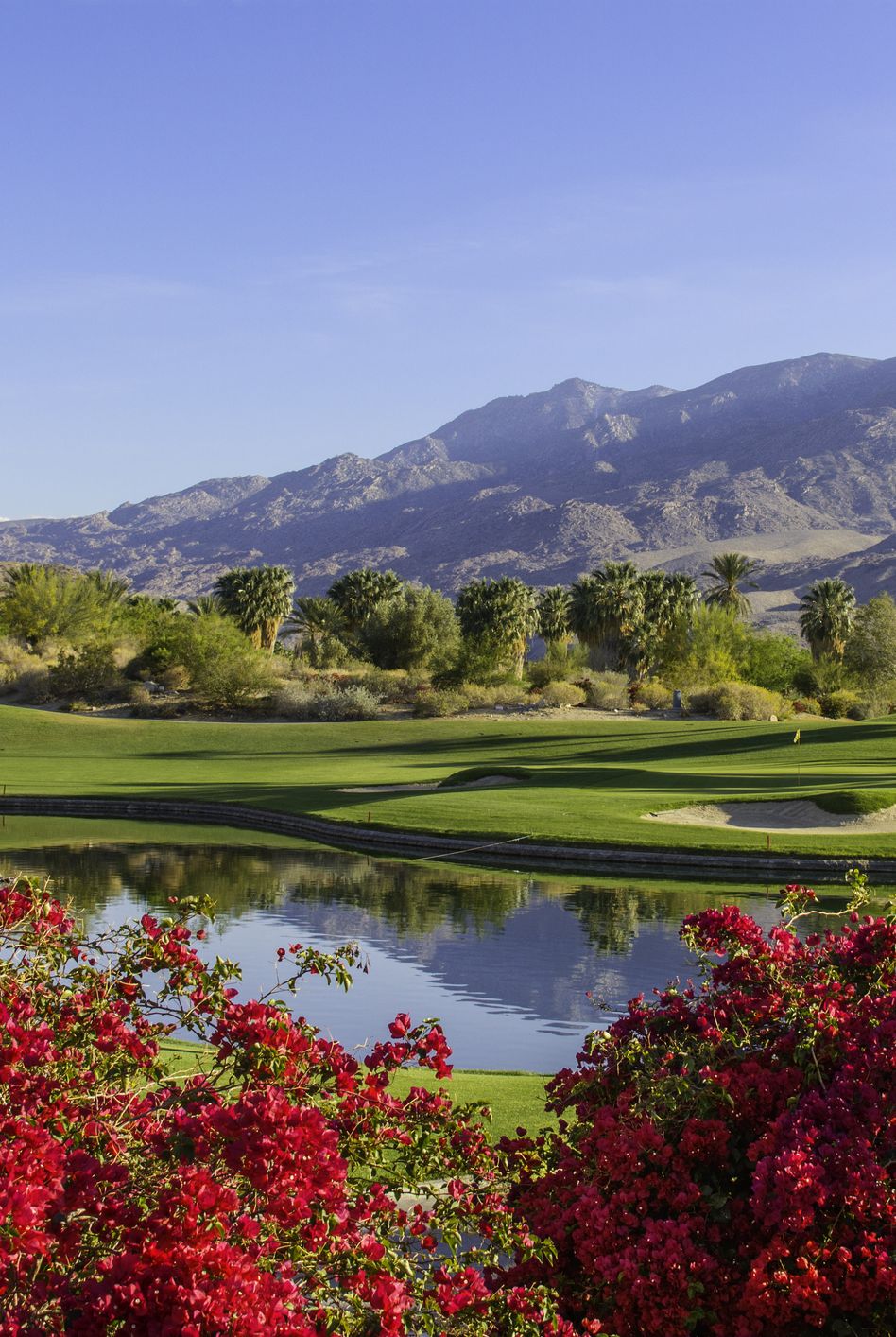 golf course in palm springs, california