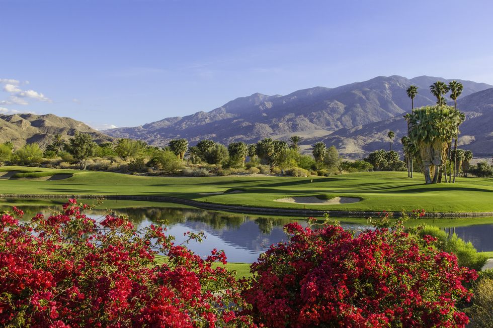 golf course in palm springs, california p