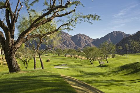 golf landscape in la quinta, california