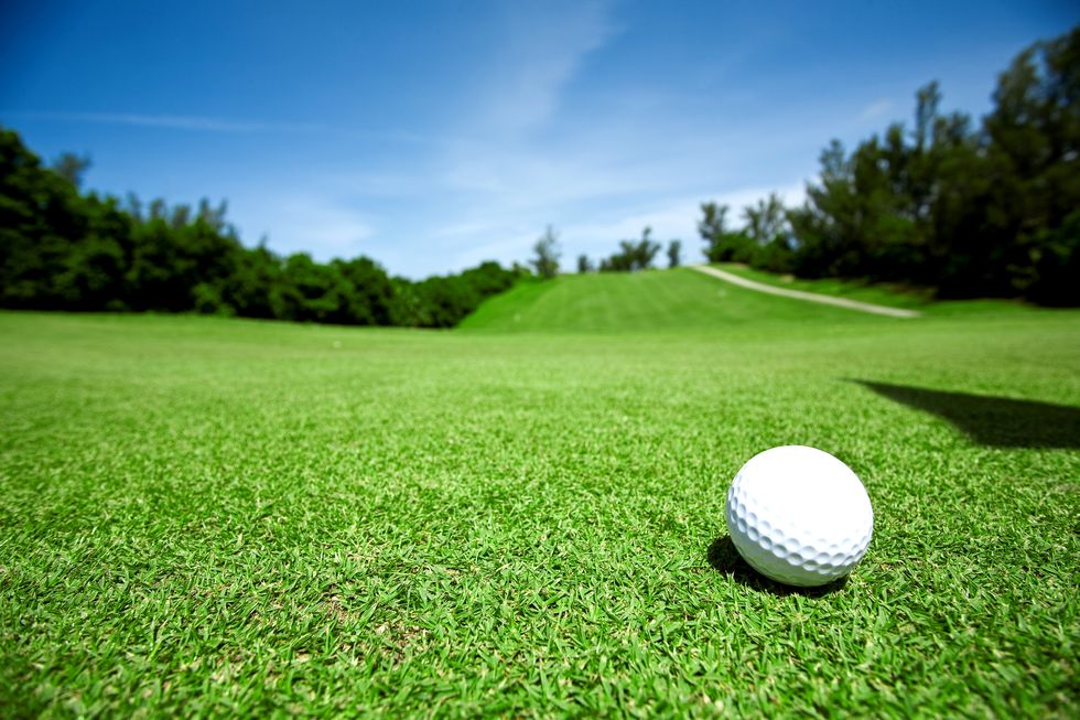 golf ball on grass, types of grass, the most popular types of lawn grass, what types of grass to grow