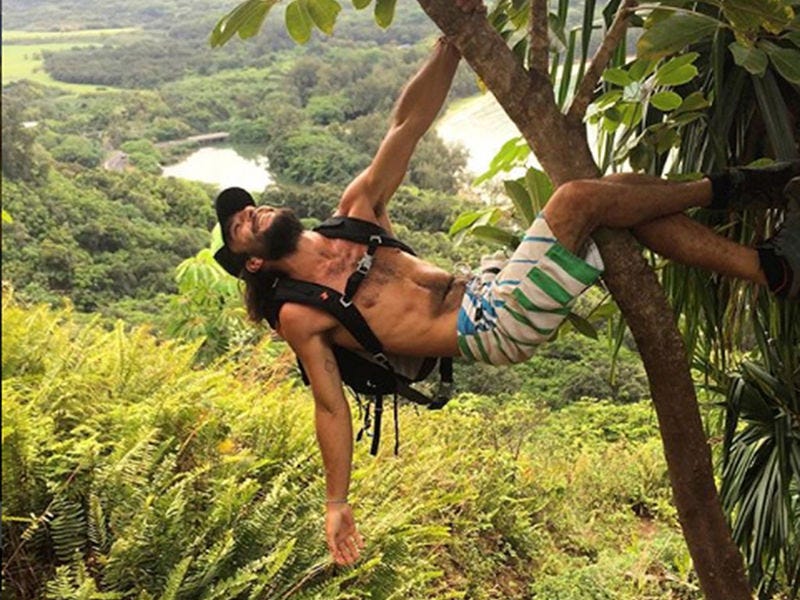 Jungle, Natural environment, Tree, Grass, Adaptation, Plant, Vacation, Forest, Rainforest, Adventure, 
