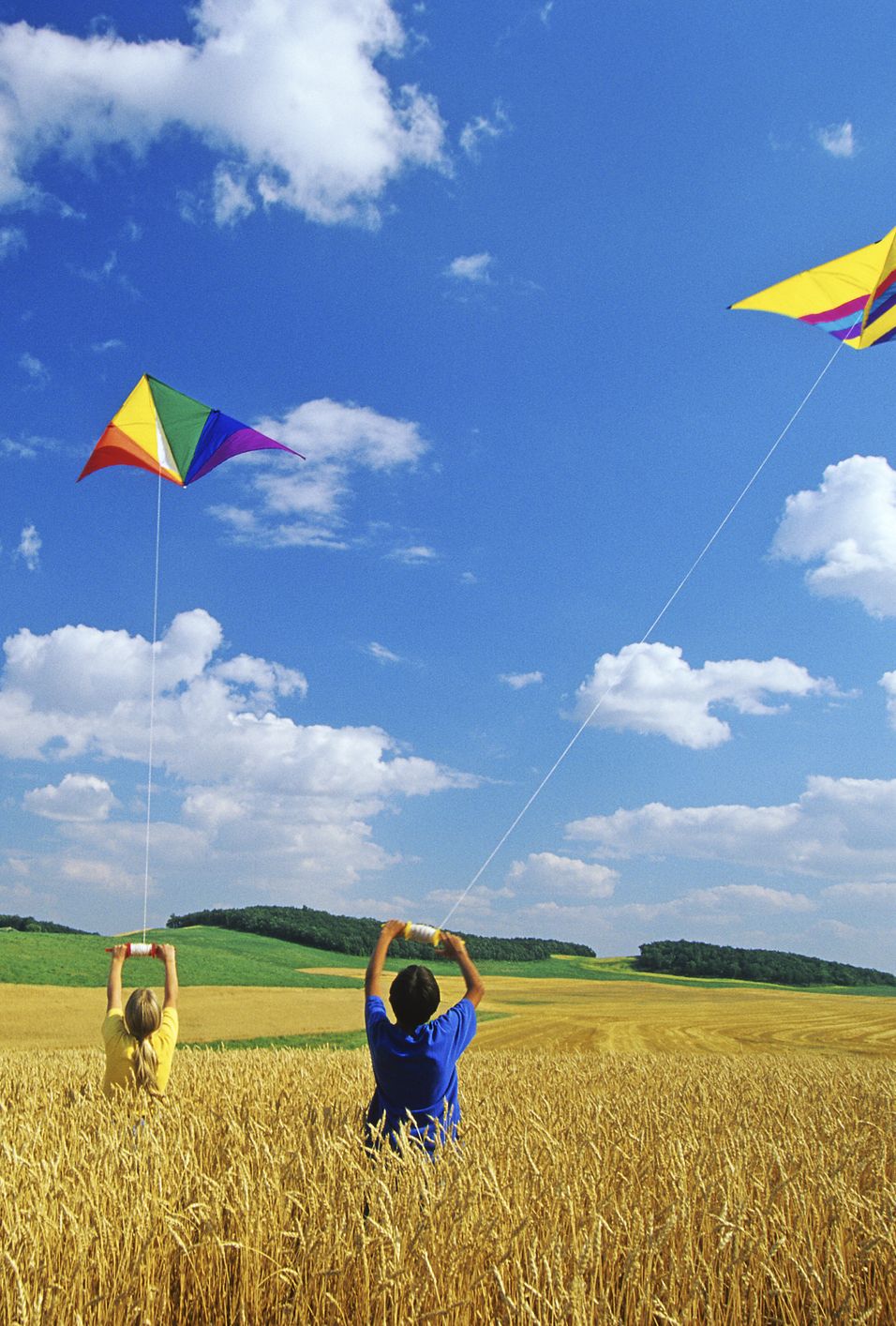 Good Friday Facts Children Flying Kites Blue Sky Wheat Field