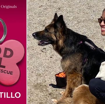 elaine castillo, good girl, notes on dog rescue