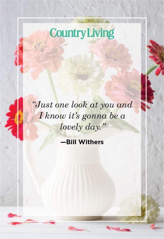 good morning quote bill withers