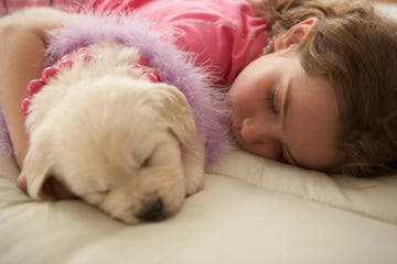 white, fluffy puppy sleeping on a bed, nestled beside a young sleeping girl