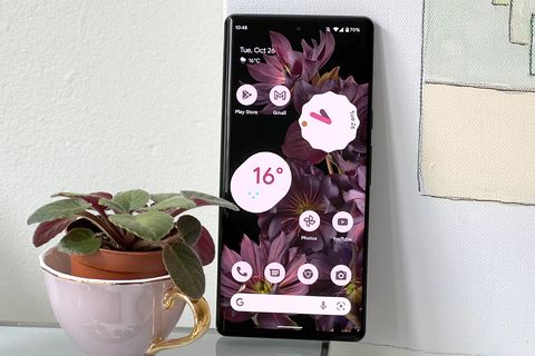 google pixel 6 pro next to plant in teacup