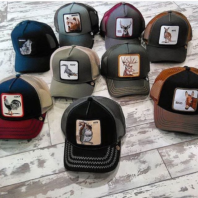 gorras animales marca goorin brothers futbolistas actores