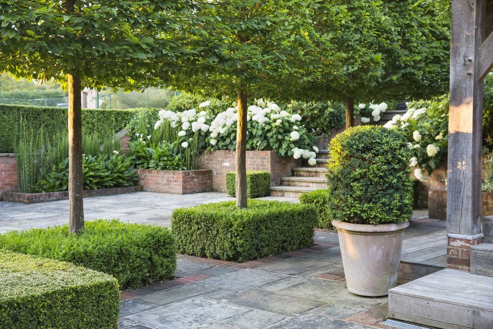 italianate estate in goudhurst, england design by jo thompson landscape garden design the terrace’s asymmetrical boxwood and japanese holly topiaries contrast white annabelle hydrangeas