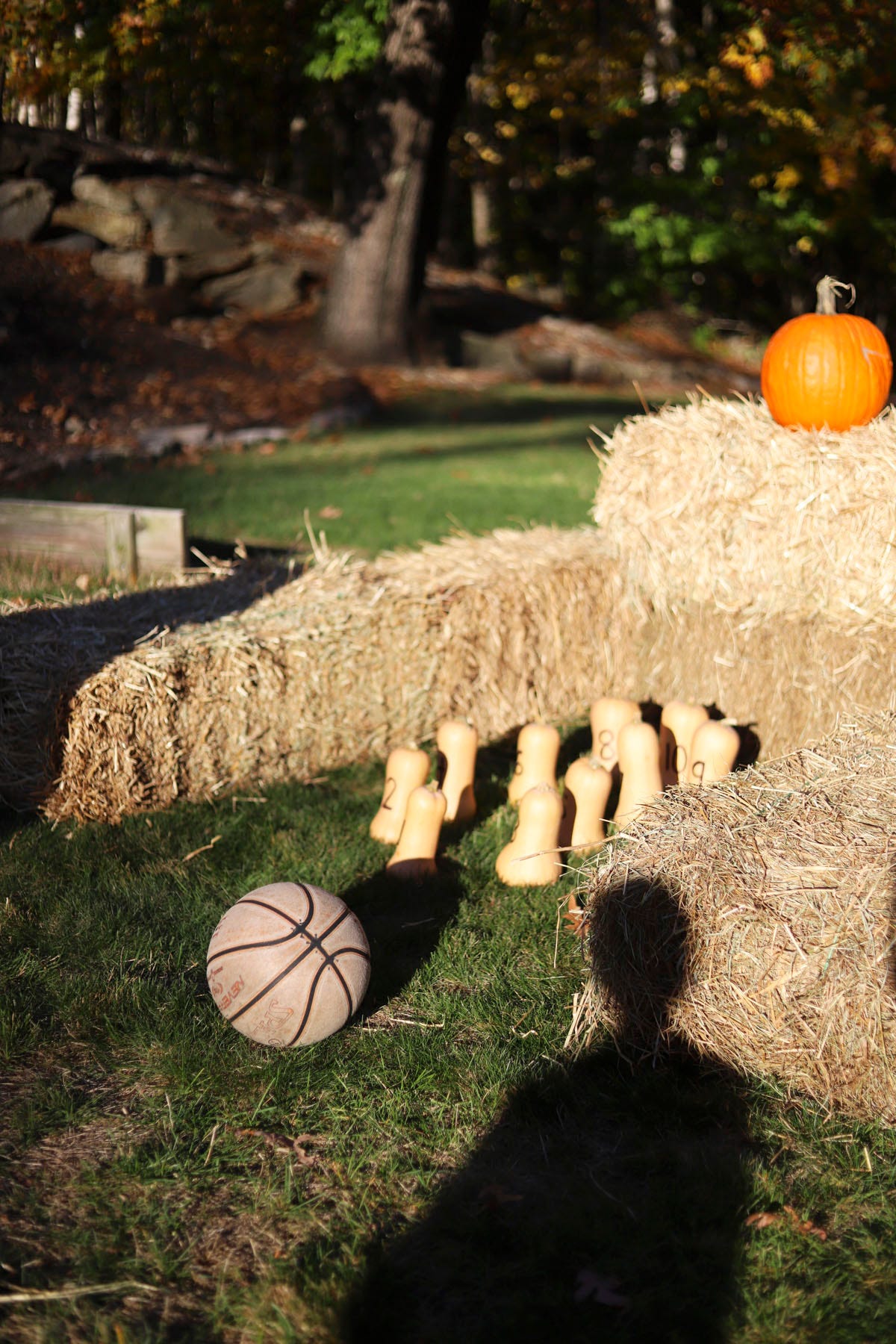 butternut squash set up as bowling pins