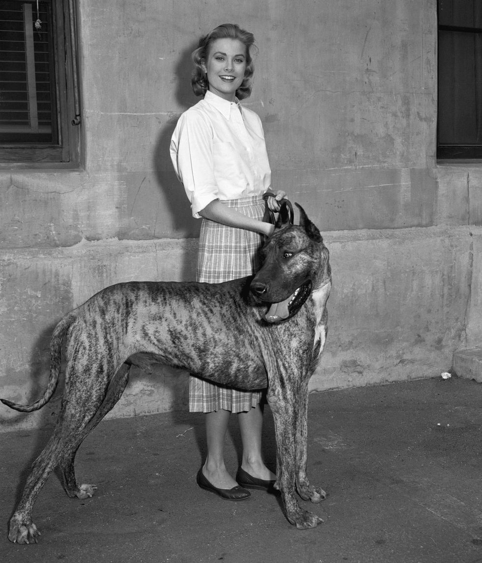 grace kelly retrato joven con perro