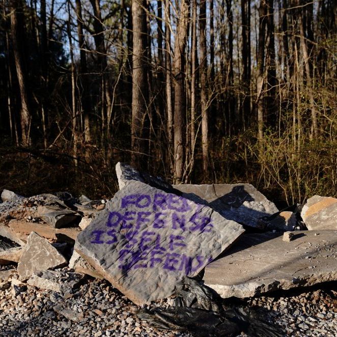 graffiti on a rock that reads forest defense is self defense
