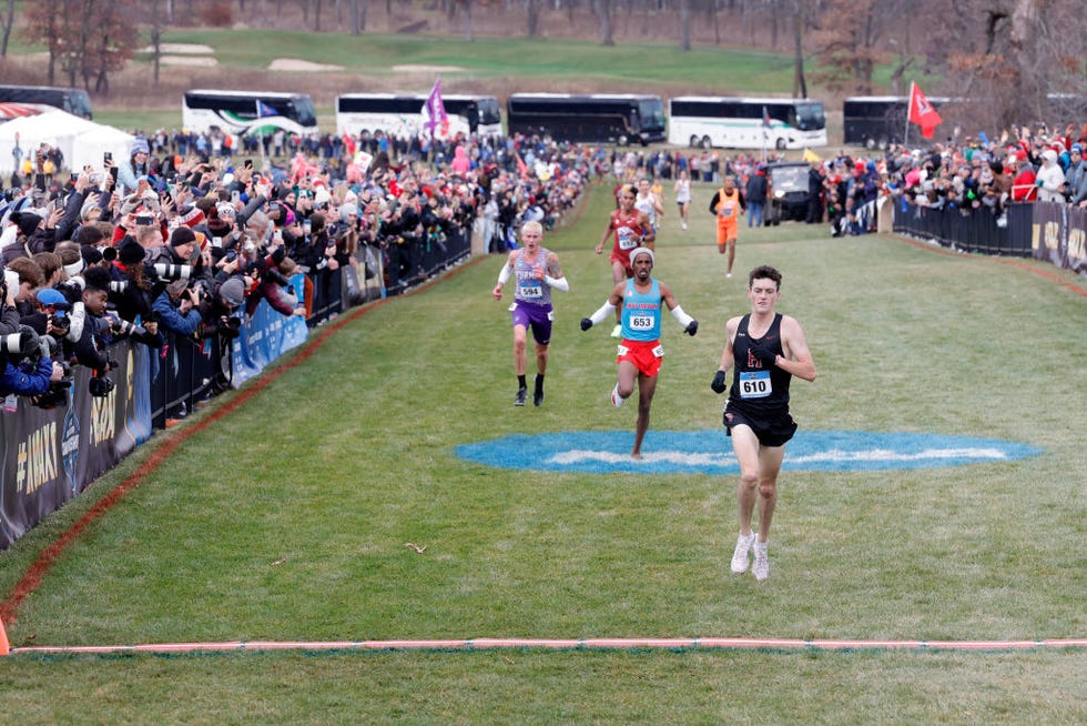 ncaa cross country championships