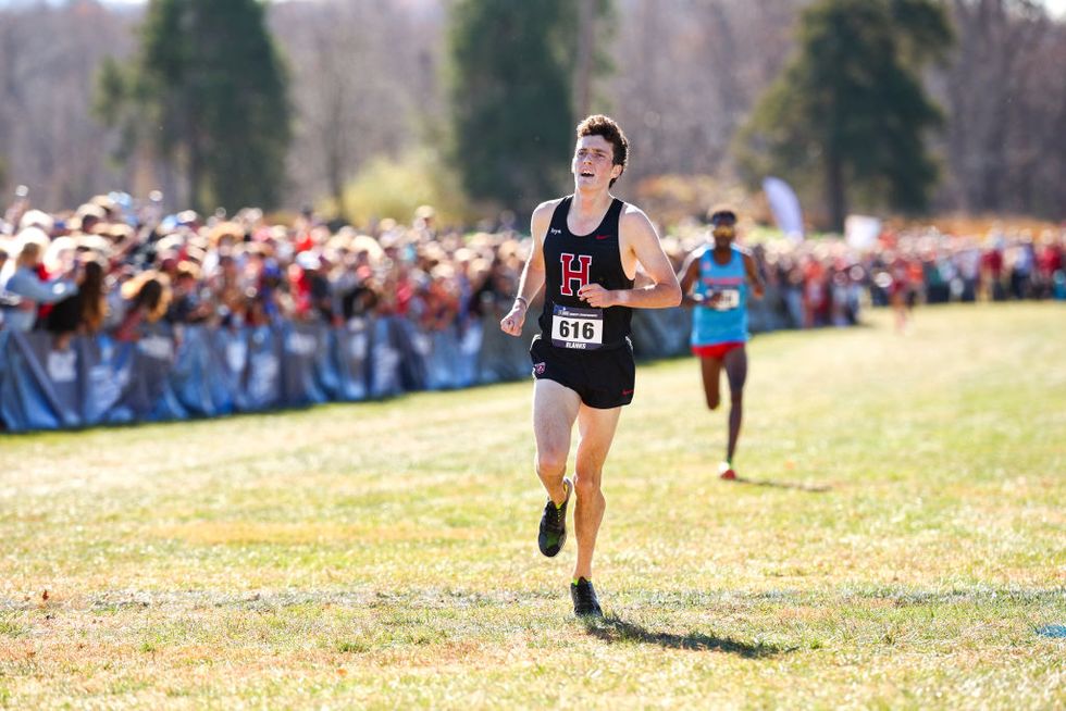 2023 division i men's and women's cross country championship