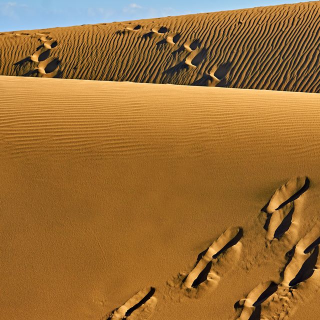 Gran Canaria