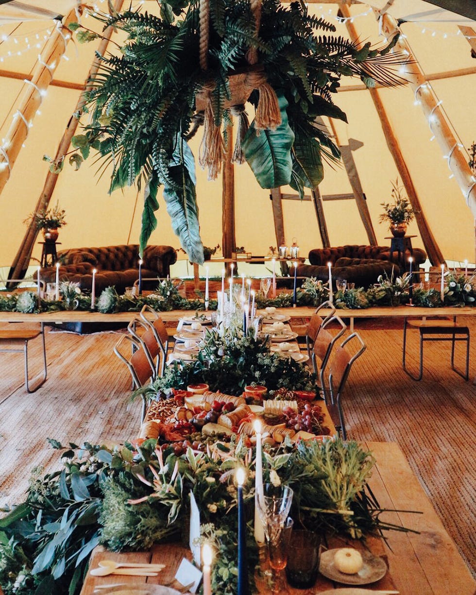 Tree, Meal, Table, Interior design, Room, Plant, Restaurant, Brunch, Architecture, Palm tree, 