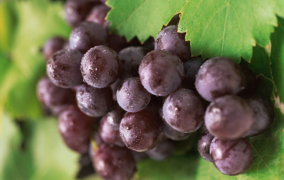 grapes