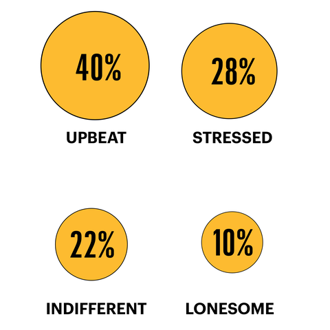 40 percent upbeat 28 percent stressed 22 percent indifferent 10 percent lonesome