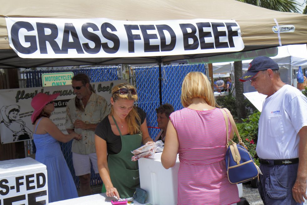 a grass fed organic beef vendor at green market