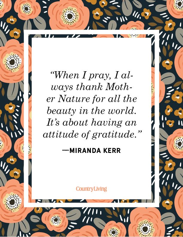 16 Gratitude Quotes to be Grateful - In the blink of an eye, it