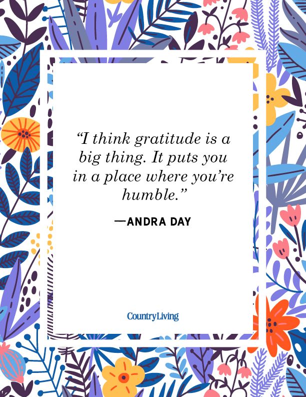16 Gratitude Quotes to be Grateful - In the blink of an eye, it