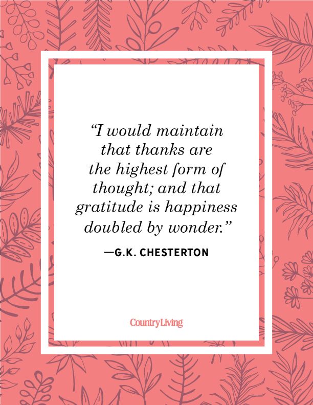 38 Gratitude Quotes to Keep You Focused on the Positive