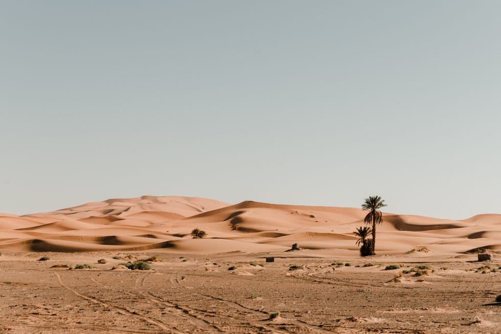 great desert of sand dunes of the sahara