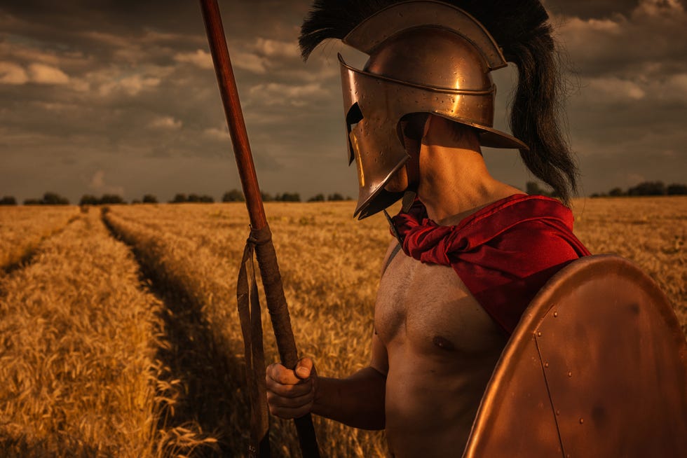 Greek warrior in wheat field