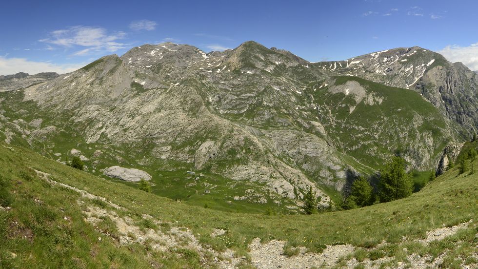 alpi