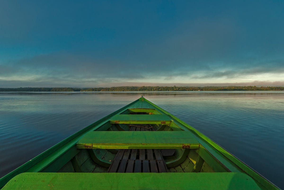 The Amazon, Brazil: short jungle tours from Manaus