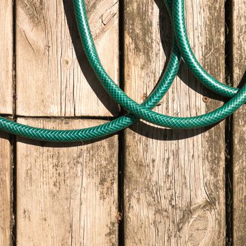 colour close up of green hosepipe coils on wooden decking, shot from above