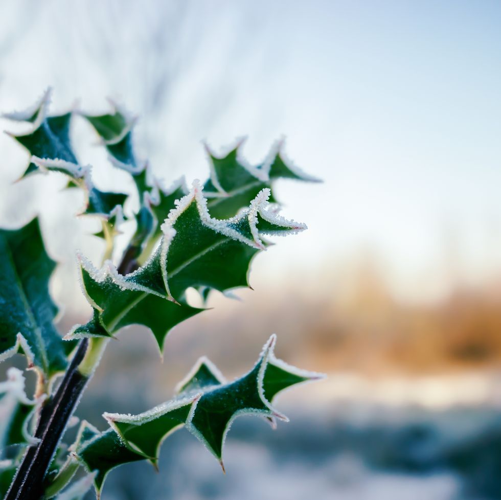 december
