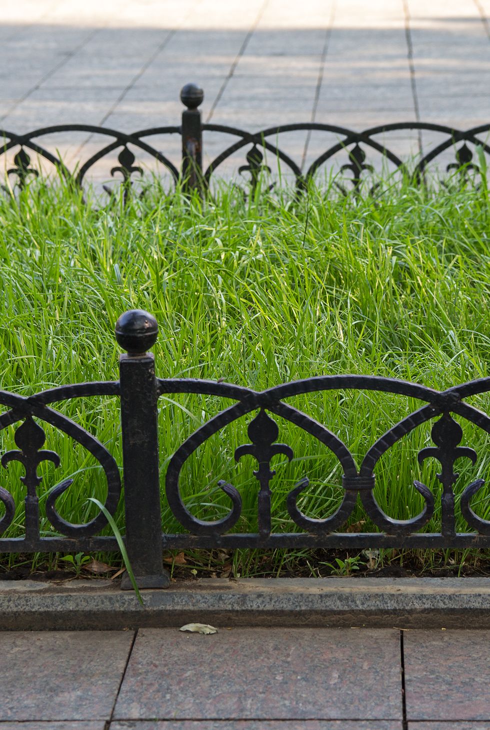 Green lawn and forged metal fence