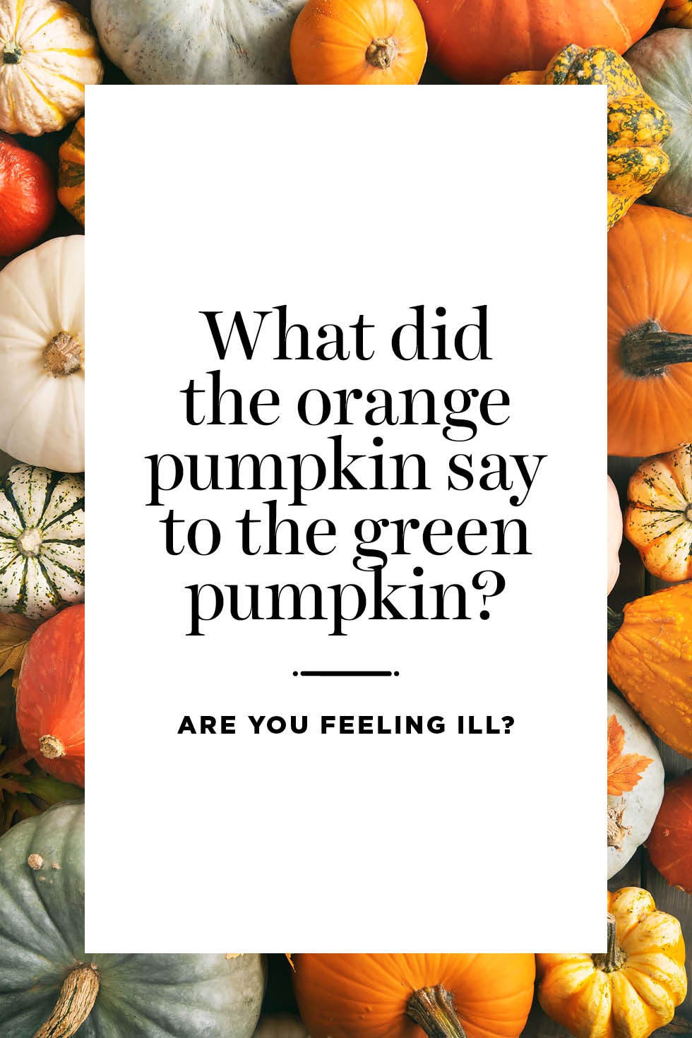 70 Best Pumpkin Quotes and Puns - Pumpkin Sayings for Instagram