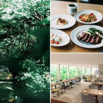 まるで森の中な都会のガーデン付きレストラン6選【東京・鎌倉 2024年】