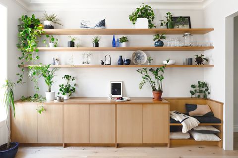 shelf, shelving, furniture, houseplant, room, wall, interior design, plant, building, wood,