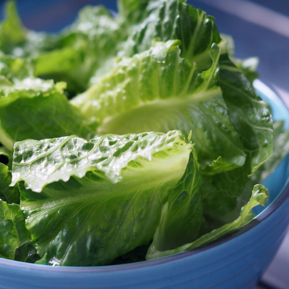 Green salad romaine lettuce sliced