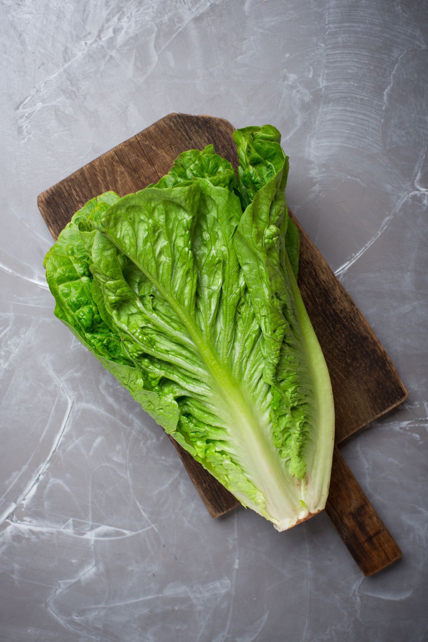 leaf lettuce types