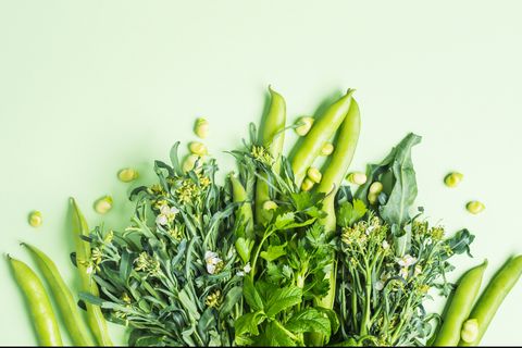 green vegetables and herbs on pastel background