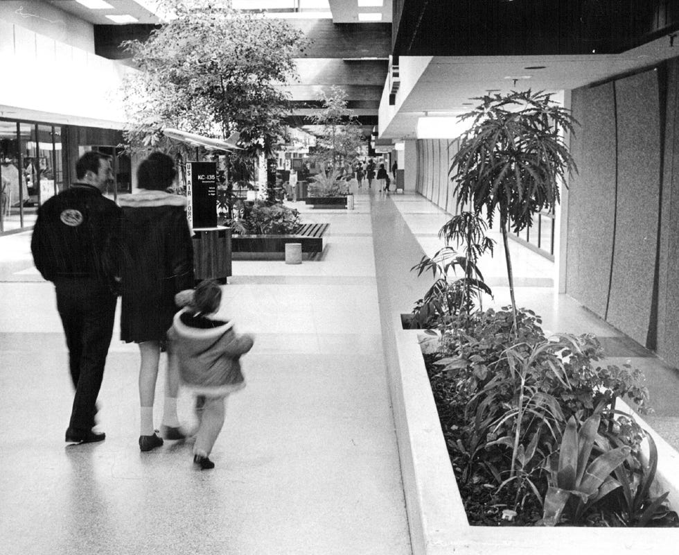 mar 20 1971, mar 24 1971 greenery brightens northglenn mall live trees and bushes enhance the warm