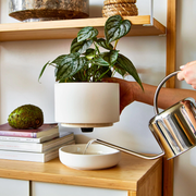 Greenery Unlimited Franklin 17 Ceramic Self Watering Pot greenery unlimited franklin 17 ceramic self watering pot