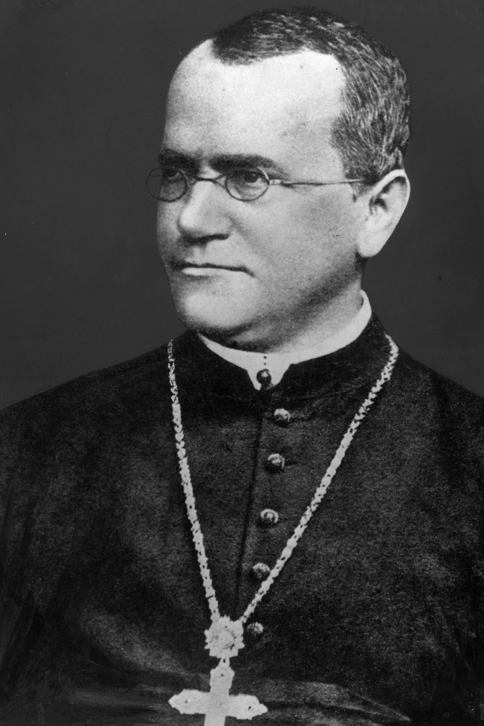 Gregor Mendel con una gran cruz colgante alrededor del cuello y mirando hacia la derecha en una foto de retrato.