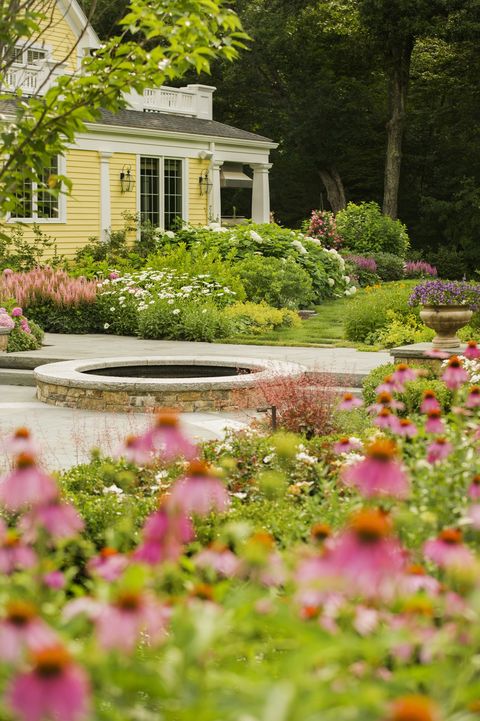 Garden, Botanical garden, Flower, Home, Spring, Pink, House, Property, Plant, Botany, 