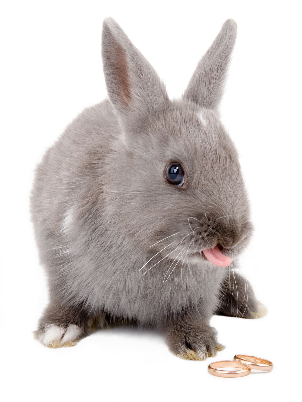 小紅書,口紅,兔子舌頭,兔兔舌,唇彩,唇色,色號,兔兔,兔子,粉嫩色,粉色,淺色,珊瑚粉,粉紅,桃紅,兔兔舌頭,純欲兔兔舌
