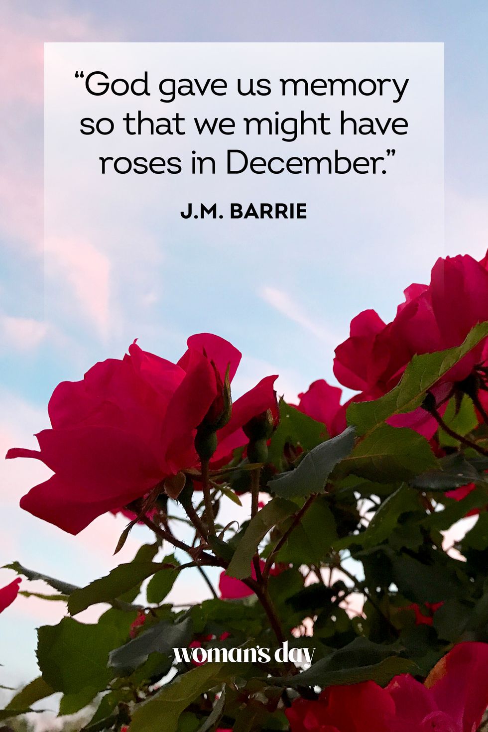 grief quotes  j m barrie