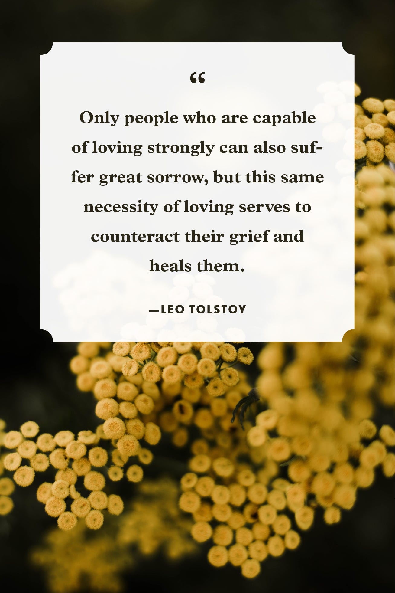 Grief Quotes