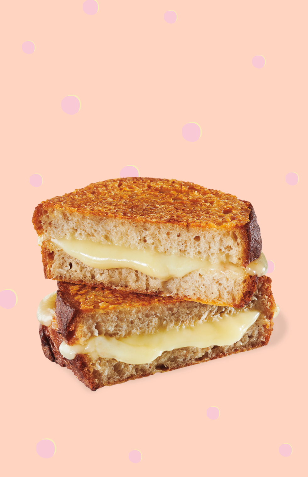 Food, Dish, Cuisine, Ingredient, Baked goods, Dessert, Chiboust cream, Tiramisu, Finger food, Produce, 