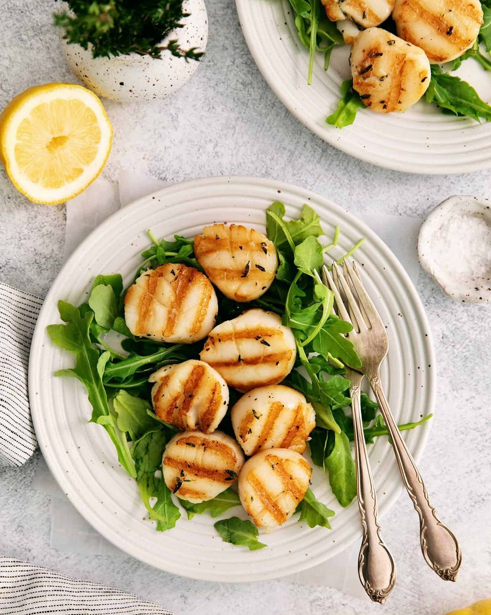 grilled fish recipes scallops