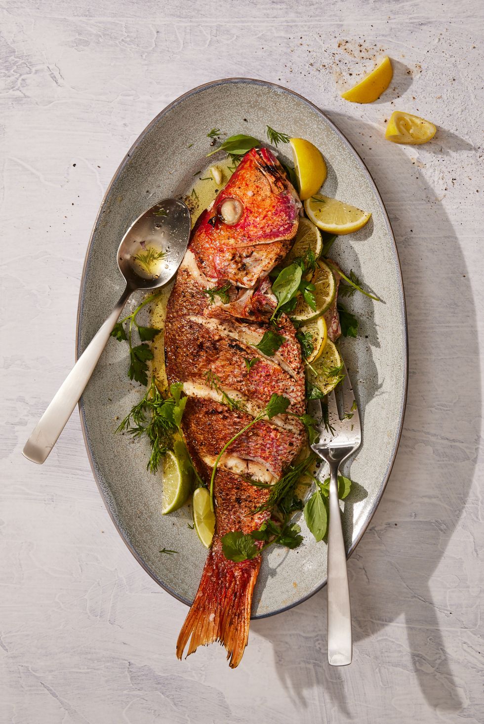 Red Snapper Grilled on Lemon, Herbs and Onions Recipe 