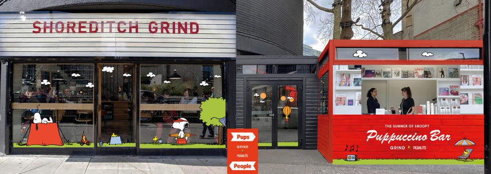 grind snoopy collection