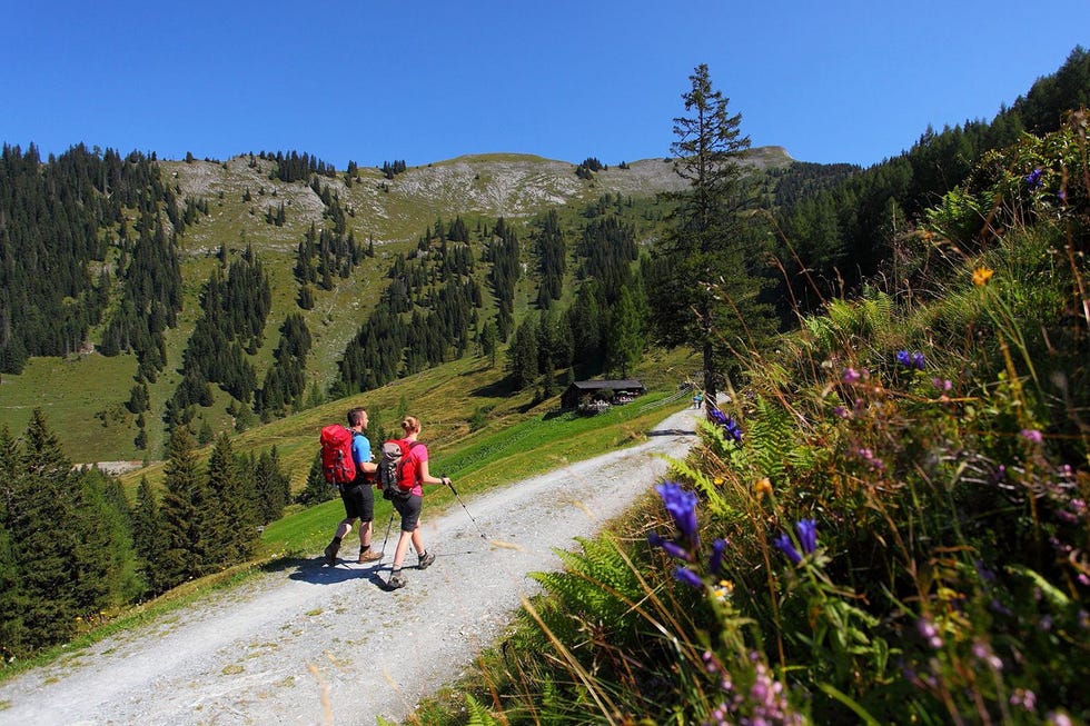 Genieten van de natuur tijdens een wandeling door het Grossarltal